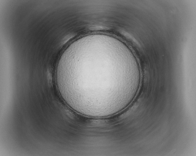 X0000111131305200907141203