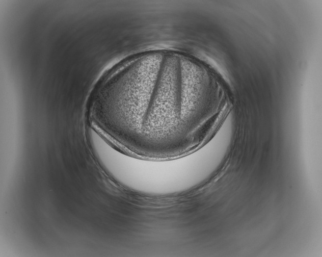 X0000111131308200907141203