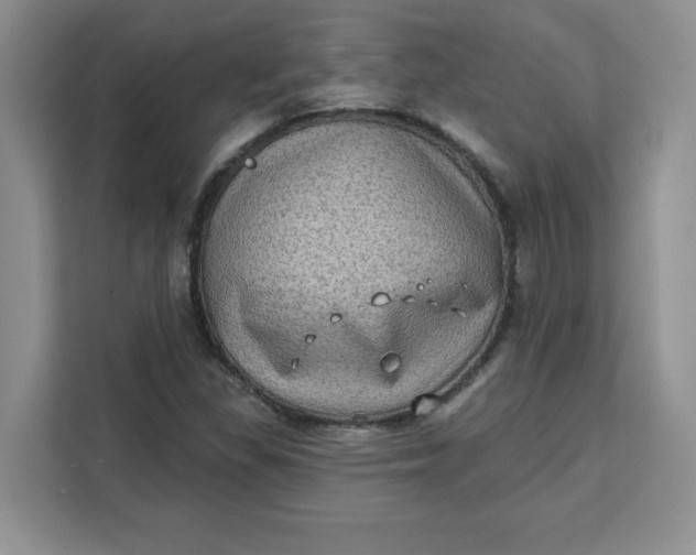 X0000111131309200907141203