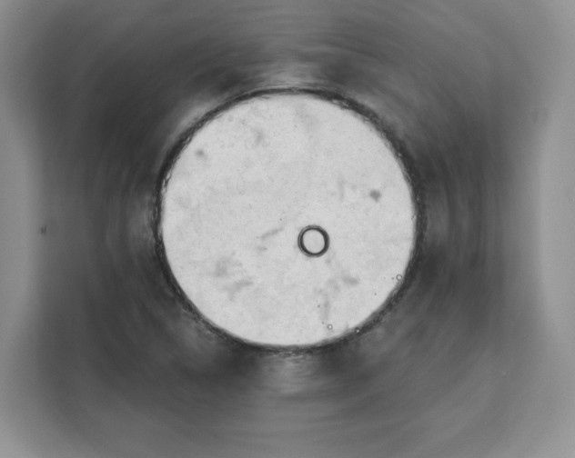 X0000111131314200907141203
