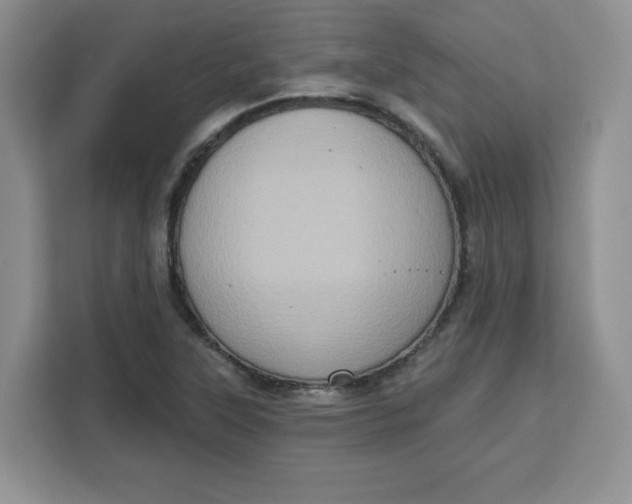 X0000111131315200907141203