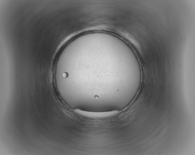 X0000111131316200907141203