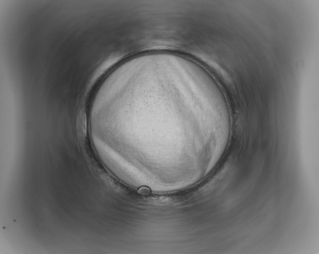 X0000111131317200907141203