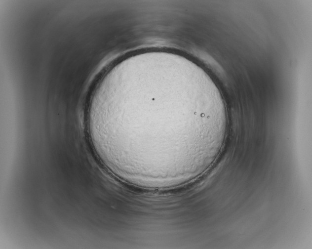 X0000111131318200907141203