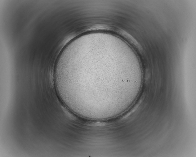 X0000111131321200907141203