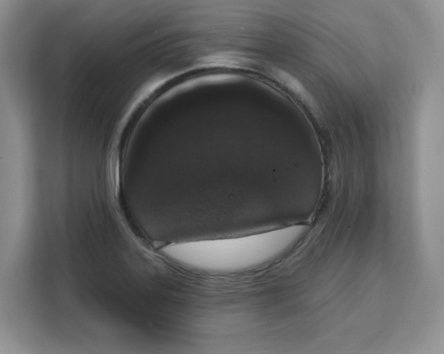 X0000111131323200907141203
