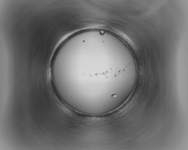 X0000111131324200907141203
