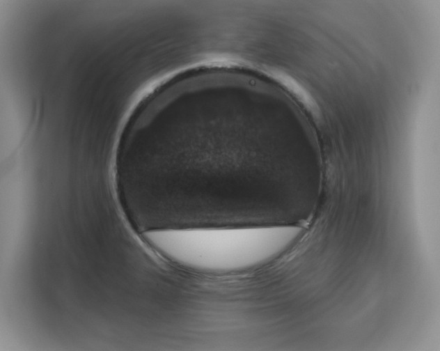 X0000111131327200907141203