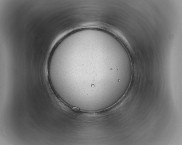 X0000111131328200907141203