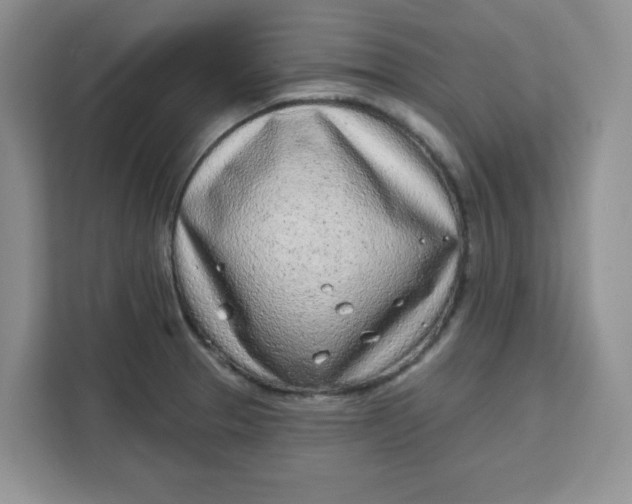 X0000111131329200907141203