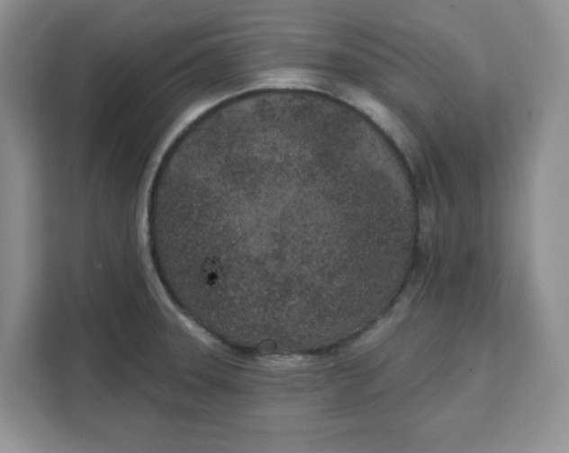 X0000111131331200907141203