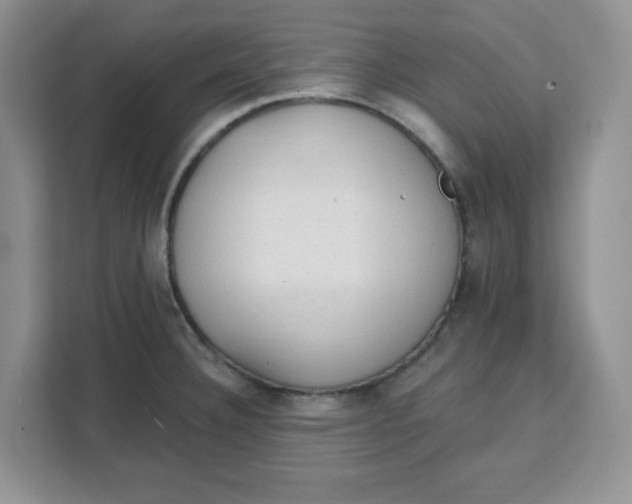 X0000111131332200907141203
