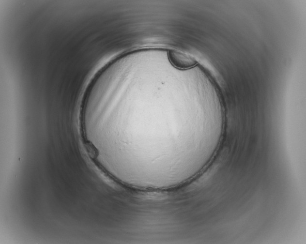 X0000111131333200907141203