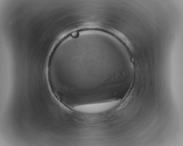 X0000111131334200907141203