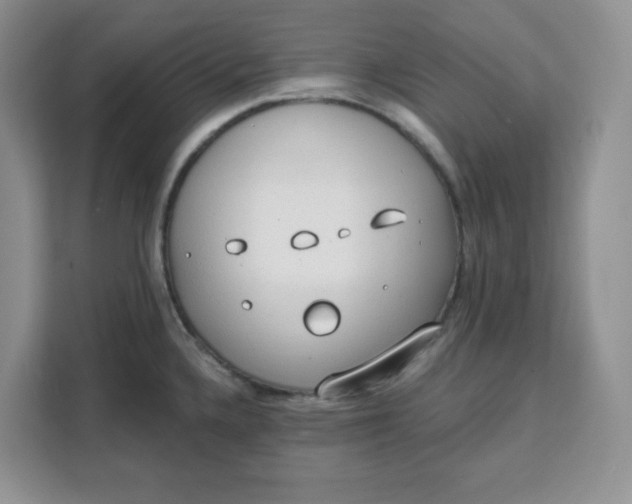 X0000111131336200907141203