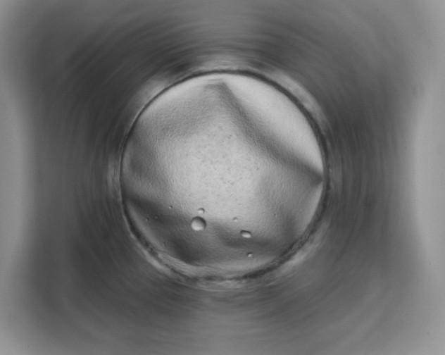 X0000111131337200907141203