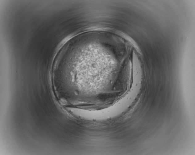 X0000111131338200907141203