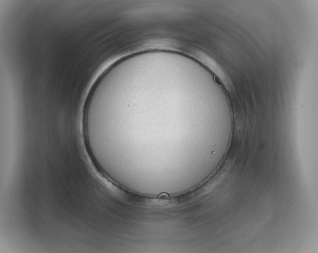 X0000111131339200907141203