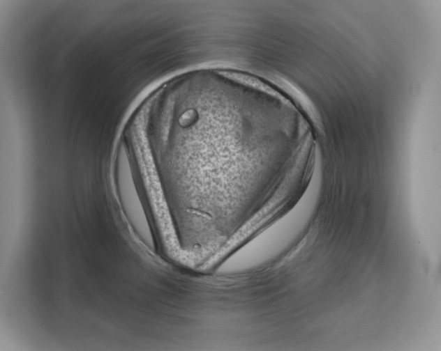 X0000111131340200907141203