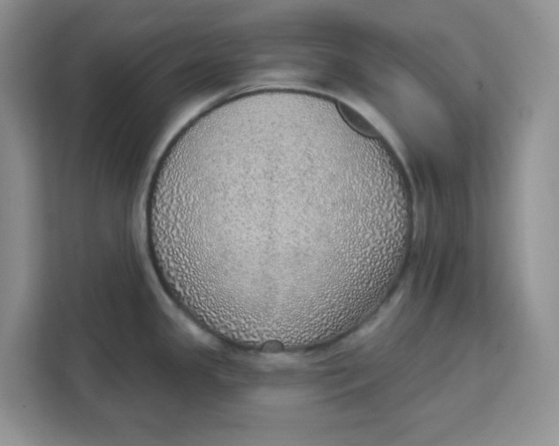 X0000111131341200907141203