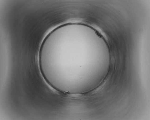 X0000111131343200907141203