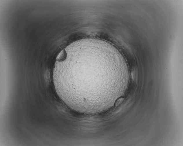X0000111131347200907141202
