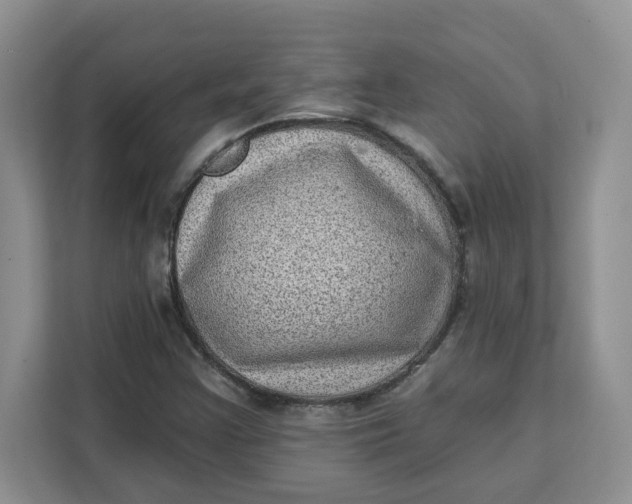 X0000111131355200907141202