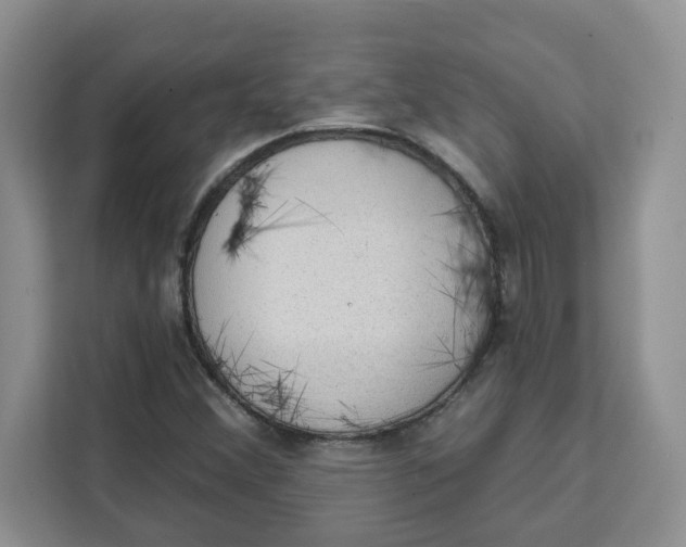 X0000111131356200907141202