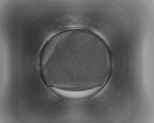 X0000111131357200907141202