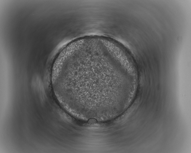 X0000111131359200907141202