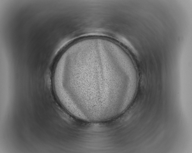 X0000111131360200907141202
