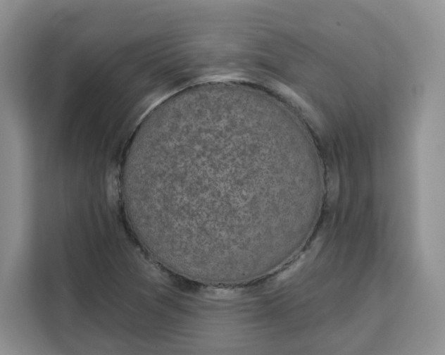 X0000111131361200907141202