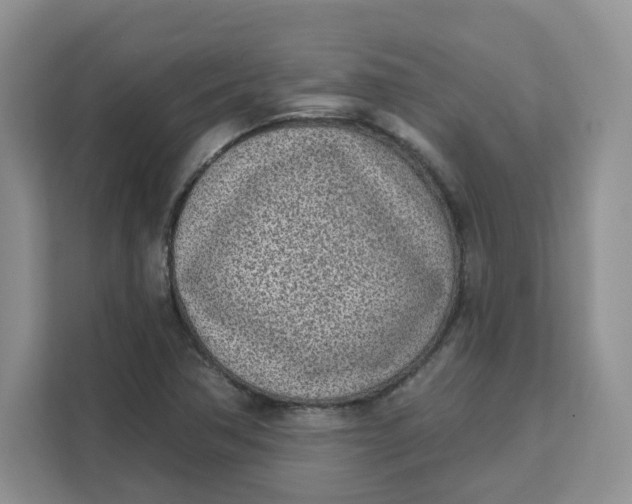 X0000111131362200907141202