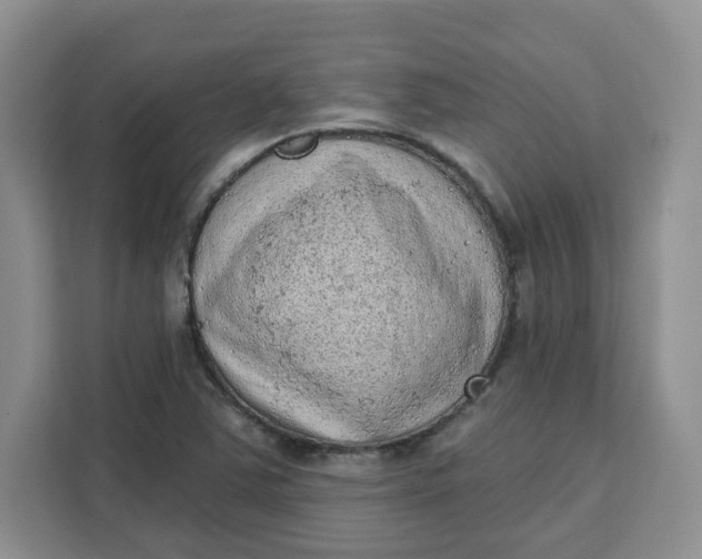 X0000111131363200907141202