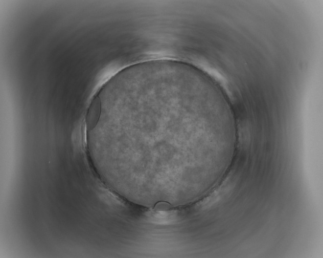 X0000111131365200907141202