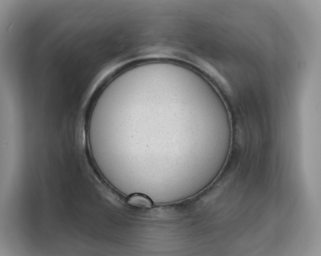 X0000111131368200907141202