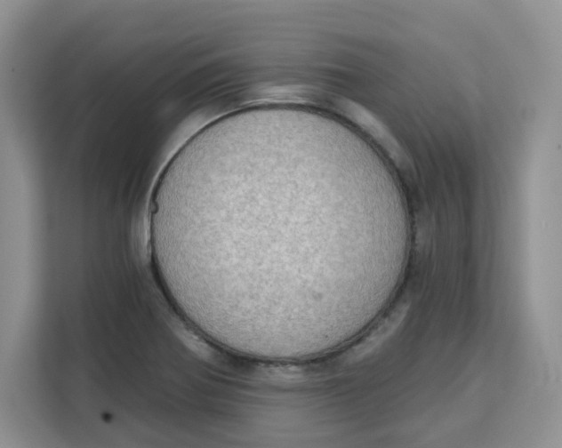 X0000111131370200907141202
