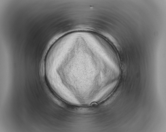 X0000111131371200907141202