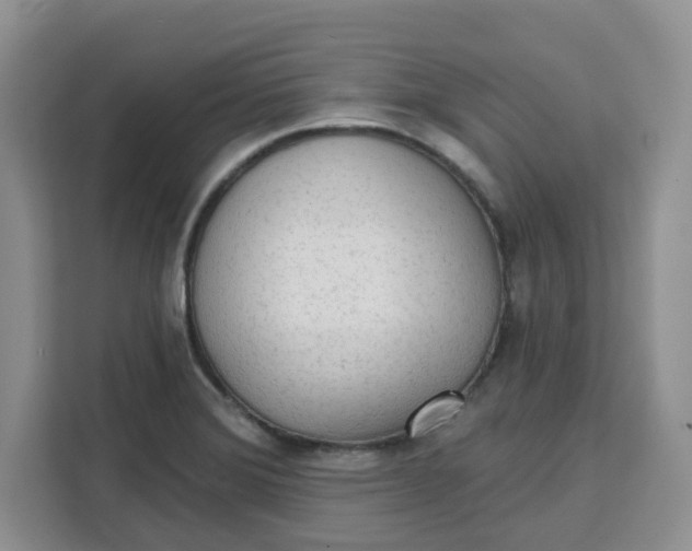 X0000111131372200907141202
