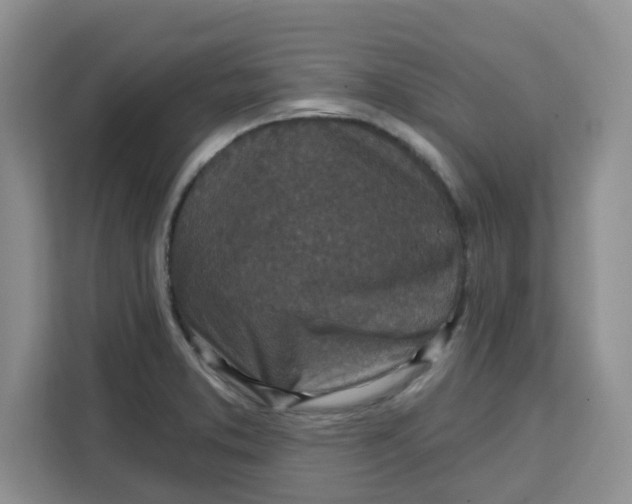 X0000111131373200907141202