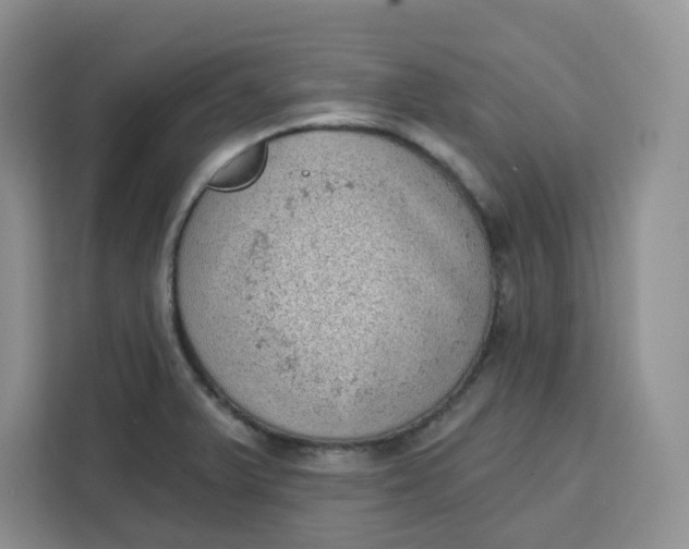 X0000111131375200907141202