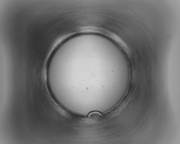 X0000111131376200907141202