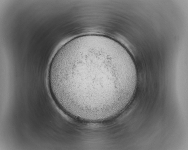 X0000111131379200907141202