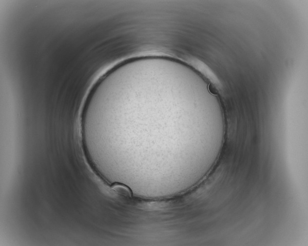 X0000111131380200907141202