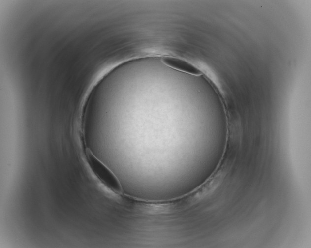 X0000111131381200907141202