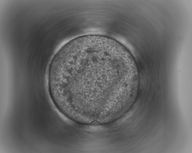 X0000111131383200907141202