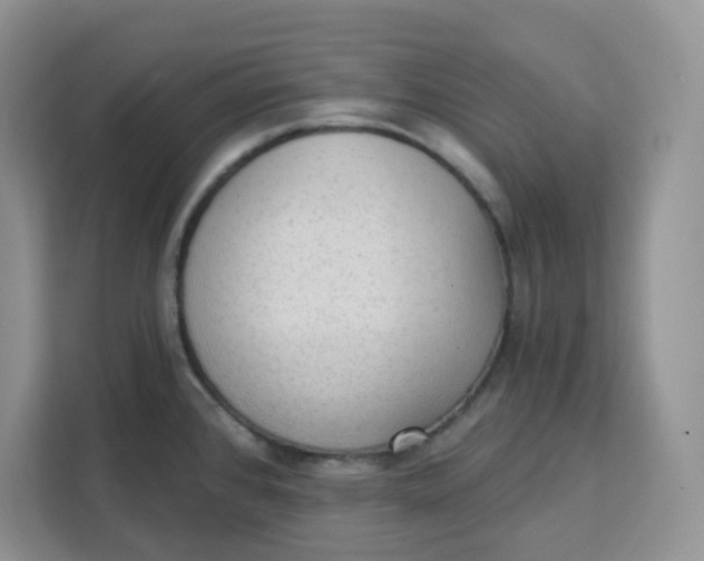 X0000111131384200907141202