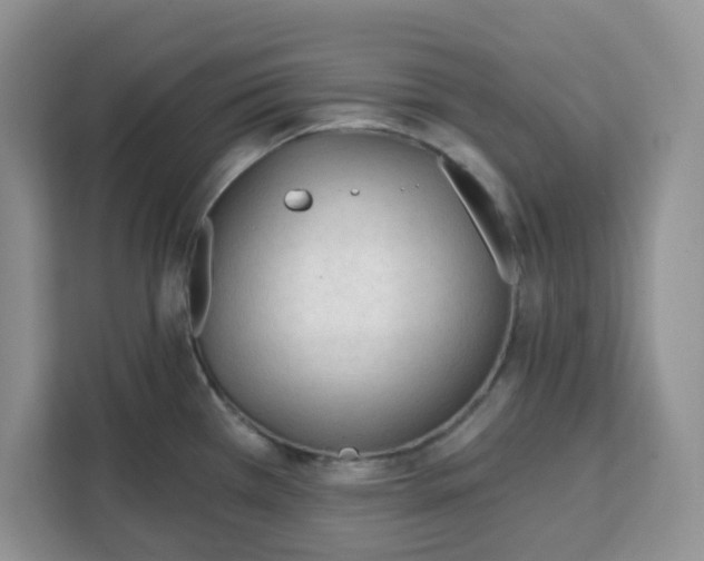 X0000111131385200907141202