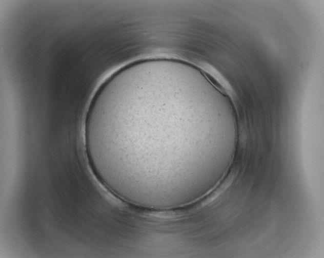 X0000111131388200907141202