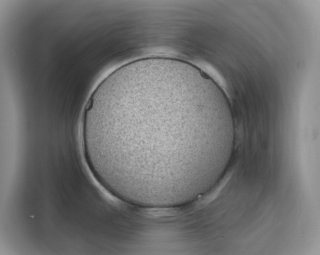 X0000111131391200907141202